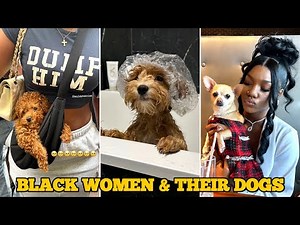 Black Women & Their Dogs | Funny TikTok Compilation 2025 #dogmom #dog