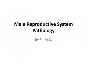 Male Reproductive System Pathology - SlideServe