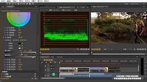 Premiere自学视频剪辑教程高级调色大师——课时021 颜色和关键帧调色 （Keyframe）