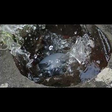 蹲の氷割り #ハイスピード動画 #240fps #TG-5 #オリンパス #OlympusTG-5