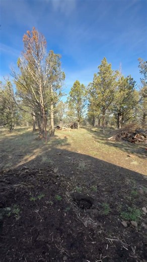 Setting up the portable carport.