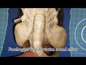 Facehugger female victim sound effect