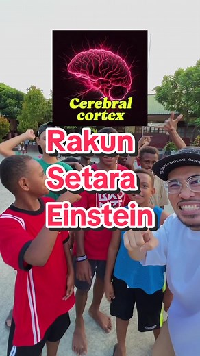 Kecerdasan Hewan: Rakun, Anjing, atau Kucing?