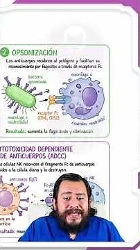 HISTOLOGY | ANTIBODIES | Key Proteins of the Humoral Adaptive Immune System