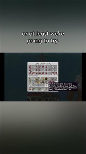 I Unlocked a NEW Sausage Type 🐱😳 | Chest Cavity Chaos | The Dadcrafter