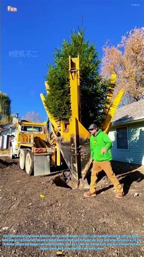 Bäume pflanzen mit einem Bagger: Effiziente Landschaftsgestaltung