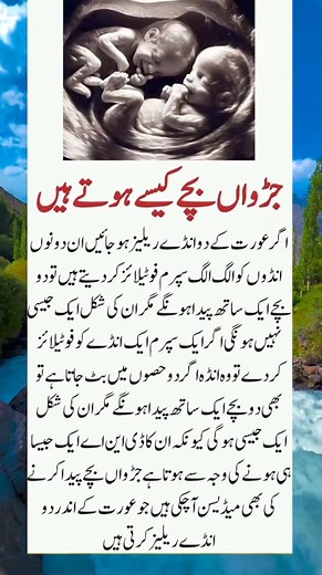 1.2M views · 8.4K reactions | #facebookreels #reels | The Flourish | Facebook