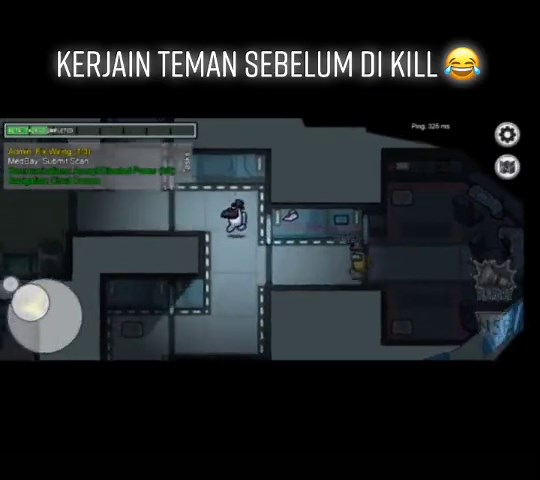 DuckFace (@duckfacefhp)’s videos with original sound - DuckFace