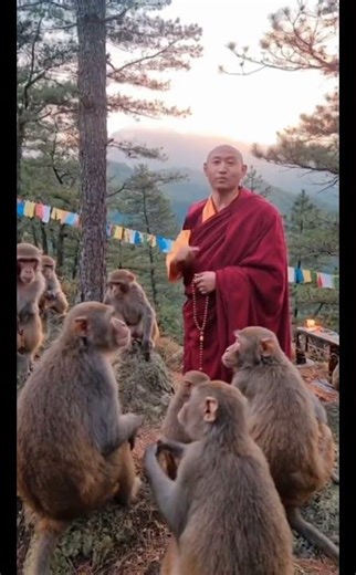 Life is not perfect but the best part is the role we play.