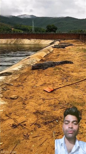 Sabse Bada Magarmach 😱🐊 | Magarmach Kaise Palte Hain #shorts #reaction #amazing