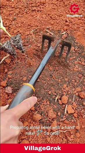 Gardening in Red Soil: Planting Seedlings with a Hand Rake