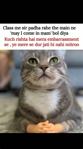 embarassment hi embarrassment 😭 #Memes #popular #viral #funnymemes #tweetreels #comedy #asthetic
