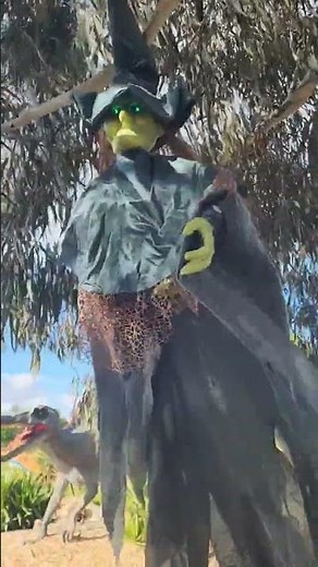 $25 Animated Hanging Witch ANKO ‪@kmartaustralia‬ Halloween Decorations 2022