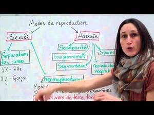 20. Sciences 9e Modes de reproduction