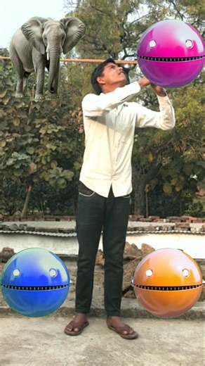 pacman Today Elephant beer Elephant bear Rabbit & cat funny vfx new magic video