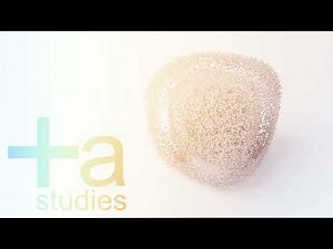 ArchiCADで作る Barcelona Pavilion 図面編