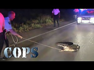 Cops Season 24 Intro 4K (2011-2012)