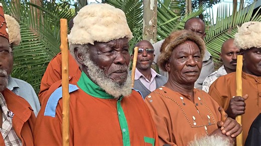 Muthigi staff in Kikuyu Community according to Spiritual leader Mathenge Wa Iregi: A special occasion of blessings the special staff locally known as 'Muthigi' was held which symbols a promotion of the elders. The Muthigi is a highly significant cultural, traditional, and political symbol among the Agĩkũyũ community of Kenya. It is a specially prepared staff, often made from specific, sacred wood, which acts as a tangible symbol of authority, leadership, and responsibility. The muthigi (or mũthî