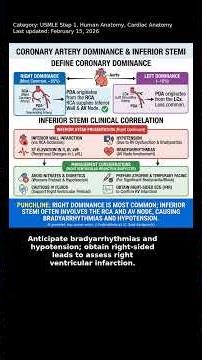 Cardiac Anatomy, Human Anatomy, USMLE Step 1 - Clinical Pearl #Shorts