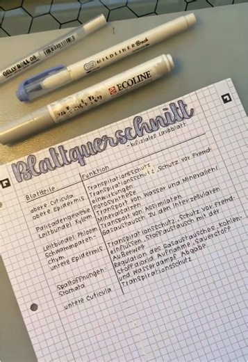 Biology Homework Tips for Students