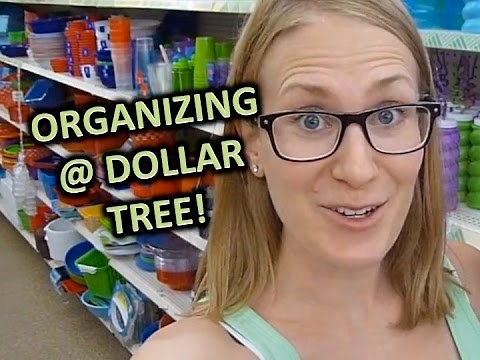 DOLLAR TREE SHOPPING VLOG! | Best Organizing Products!