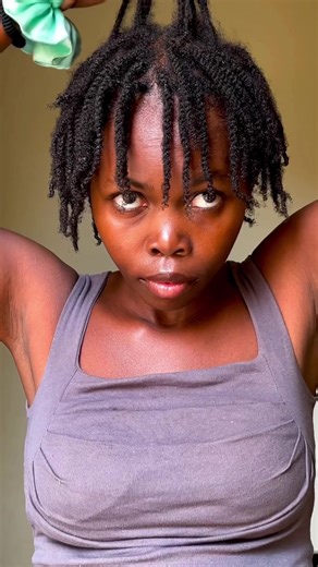 Mini Twists: Stylish and Protective Natural Hairstyle