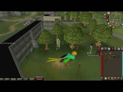 OSRS-Fast and Easy way to get to Varlamore