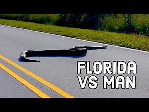 Florida Man Strikes Back | Wildest Florida Fails