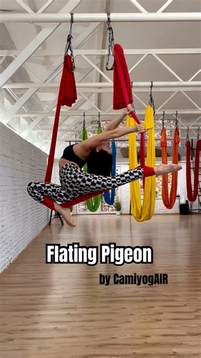 Floating pigeon♥️🕊️#aerialyoga #pigeonpose #yoga #flexibility #backbend #aerialtricks #aerialsilks