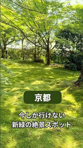 比叡山・大原三千院 新緑きらきらツアー🍃✨