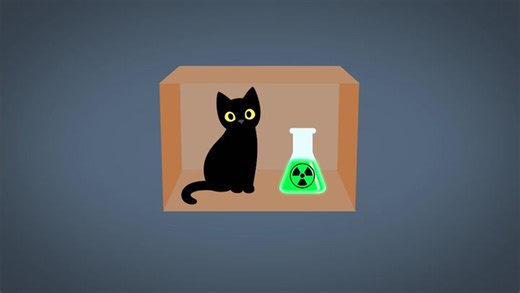 Paul Explains Schrödinger’s Cat