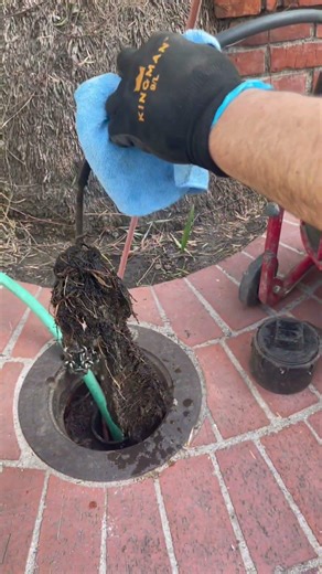 Cleaning Drain Pipe from Roots #plumbing