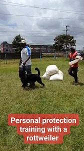 Control during protection training is everything #dogtrainer #dogtrainingacademy #doglovers #dogtraining | Baxton DOG Training Academy