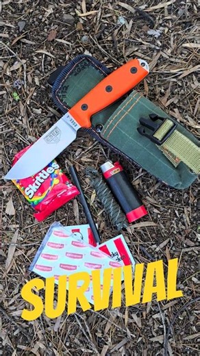 The Ultimate Survival Knife & Pouch Setup #edc #survival #esee