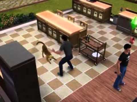 Gun Mod in The Sims 3