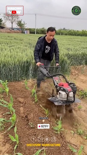 Introducing the mini tiller/cultivator/weeder machine - a game changer for farmers and gardeners! 🌱 This innovative tool streamlines tasks, making even the toughest soil easy to work with. Say goodbye to back-breaking labor and hello to efficiency and ease. Whether you're prepping soil for planting or maintaining your garden, this machine has got you covered. Invest in this time-saving device today and watch your productivity soar! 🚜 #gardening #farming #agriculture #gardeningtools #gardeningm