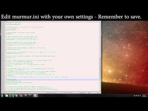 How to: Set up your LAN MUMBLE server !!!