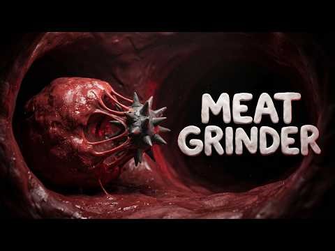 What Actually Happens Inside Your Veins (The Immune System)