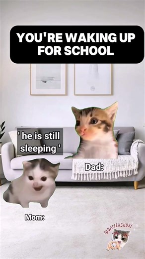 WAKING UP GOING SCHOOL ‼️‼️😱💀 #catmeme #funny #cat