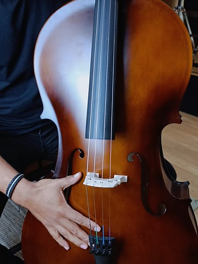 Descubre el violonchelo Greg: sonido y versatilidad