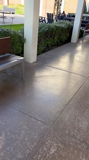 Franky Villani Skateboarding Highlights