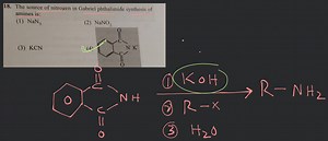 The source of nitrogen in Gabriel phthalimide synthesis ofamin... | Filo