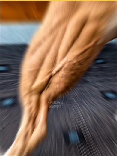 Why This Ancient Statue Looked Normal (CREEPY) | Hidden History EXPLAINED #shorts