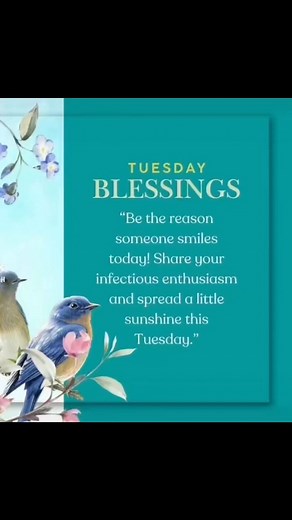 1.1K views · 36 reactions | Robin Spring Baptist Church on Reels | Facebook