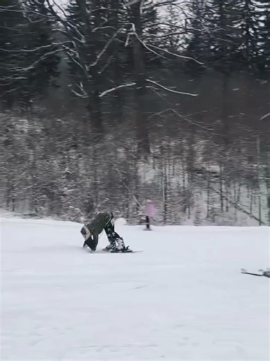 Отдых в Карпатах: Украинские Хиты и Смех