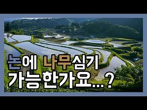 (Q&A) 논에 나무를 심을 수 있나요? 유망한 조경수는? 나무심기 좋은 토양은? 작업가능한 업체는? [조경수 재테크, 나무 부업]