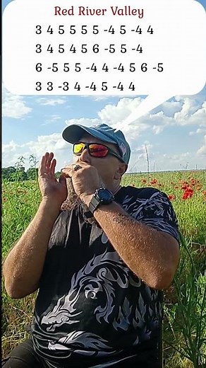 #harmonica #zenharmonica Red River Valley, country music on diatonic harmonica C + tabs
