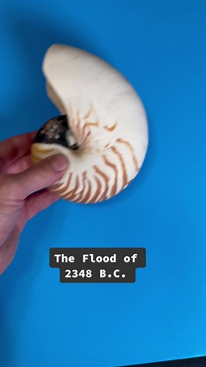 John Adolfi on TikTok