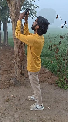 Birds Aren't Just Chirping — They're Talking About You