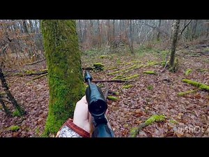 blaser R8 8,5x55 blaser chasse en battue